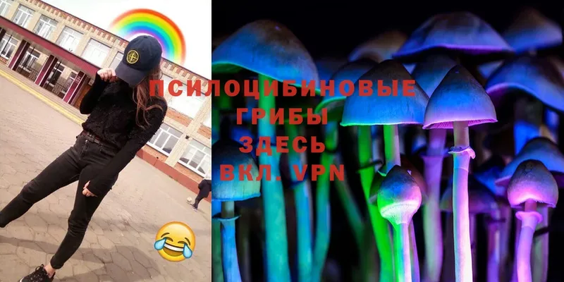 omg зеркало  Пучеж  Галлюциногенные грибы MAGIC MUSHROOMS 